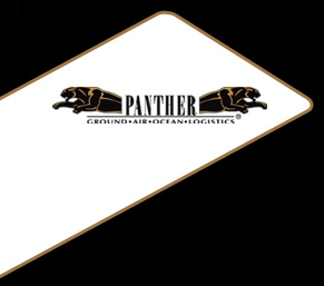 Panther Expedited Services, Inc.